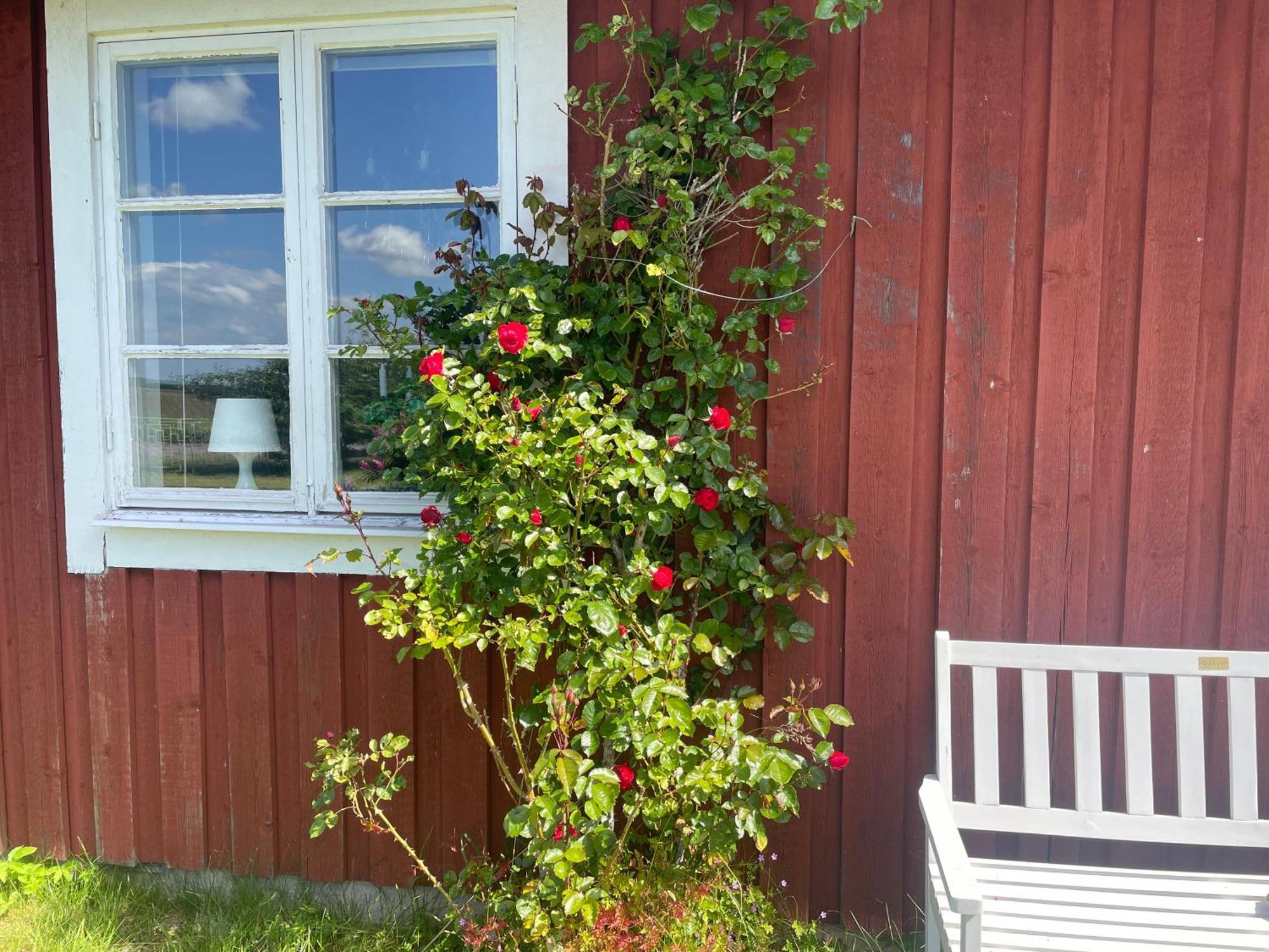 Casa vacanze Kapelludden Oestra Oeland Köpingsvik